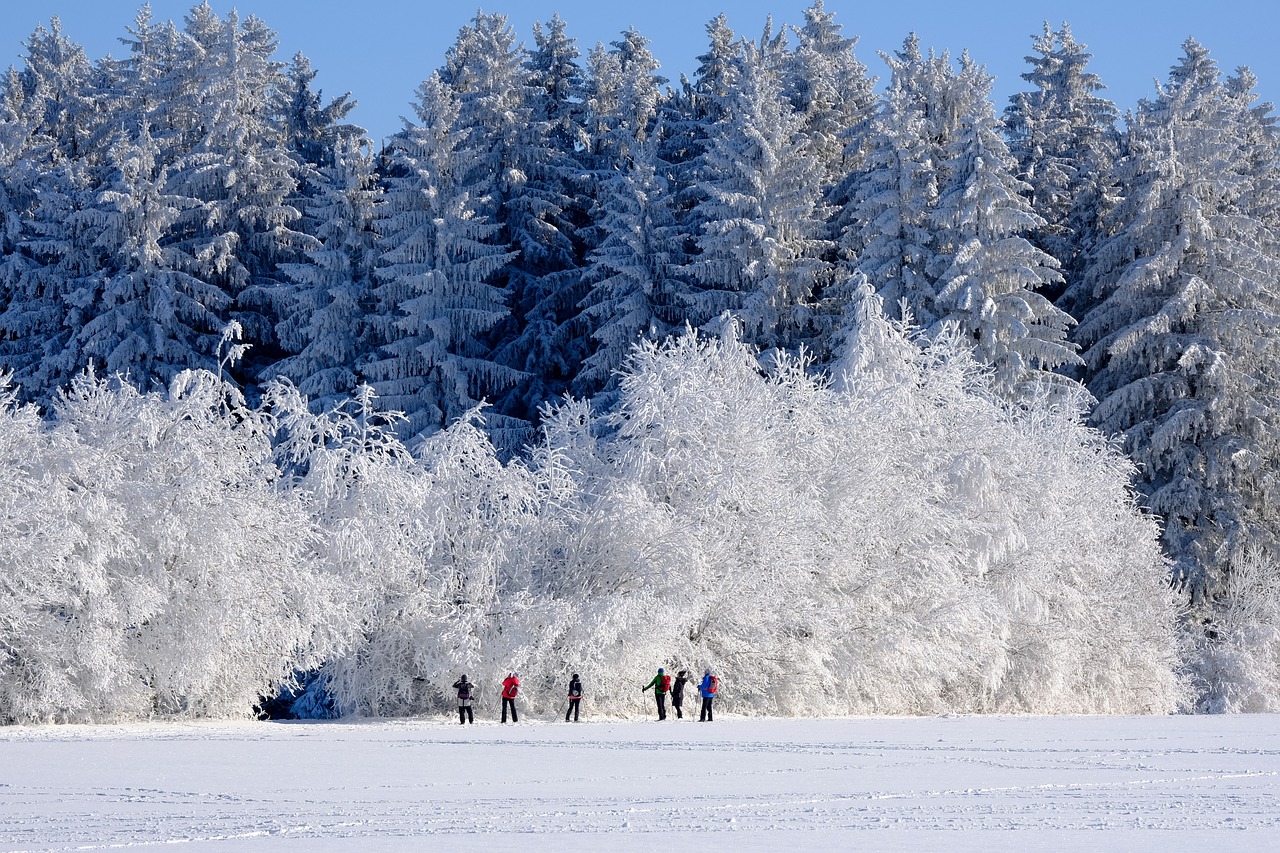 Quebec Winter Carnival - Embracing the Cold with Warm Traditions